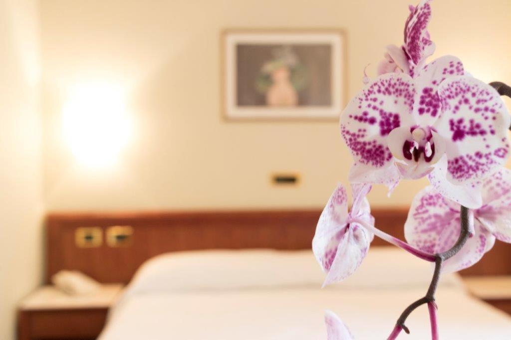 Palace Hotel チヴィタノーヴァ・マルケ エクステリア 写真